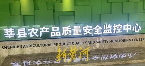 高瞰山东打卡聊城 莘县蔬菜瓜果安全无忧，网络安全软件开发保障数字生活