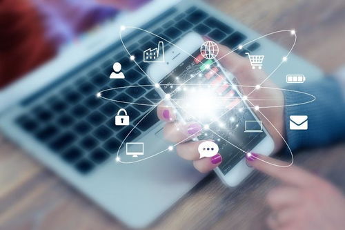 系统定制开发与网络安全软件开发为何价格高昂？